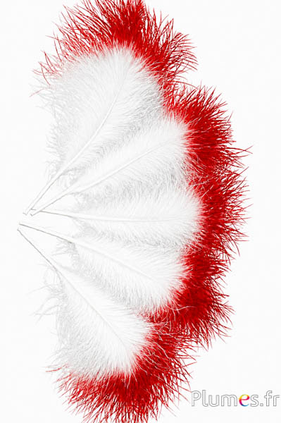 Plume 3 veren - hoogte 20 cm - wit-rood